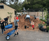 SBEF Fiscally Sponsored Campus Canopy photograph of people doing garden work at a local school